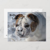Carte Postale Bully de neige - Bulldog anglais (Devant / Derrière)