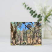 Carte Postale Bulow Plantation, Floride (Debout devant)