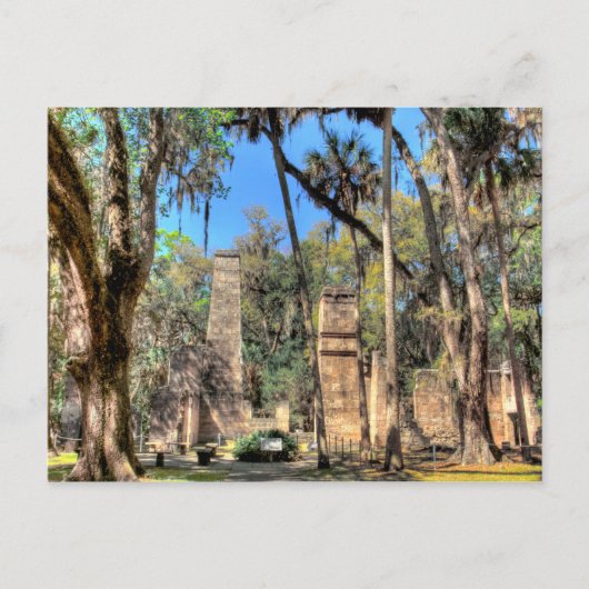Carte Postale Bulow Plantation, Floride (Devant)