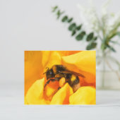 Carte Postale Bumble Bee (Debout devant)