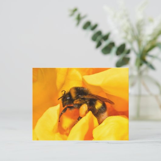 Carte Postale Bumble Bee (Debout devant)