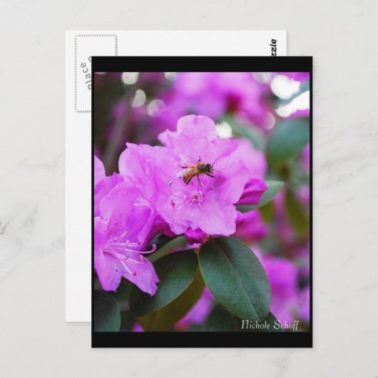 Carte postale Bumble Bee (Devant / Derrière)