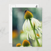 Carte Postale Bumble Bee (Devant / Derrière)