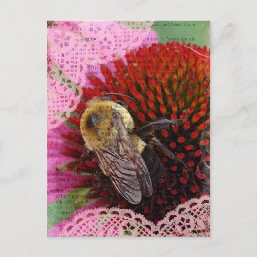 Carte Postale Bumble Bee (Devant)