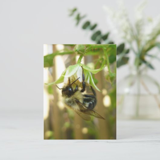 Carte postale Bumble Bee (Debout devant)