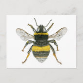 Carte postale Bumble Bee (Devant)