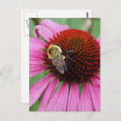 Carte Postale Bumble Bee 2 (Devant / Derrière)