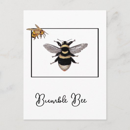 Carte Postale Bumble Bee in Bee Frame (Devant)