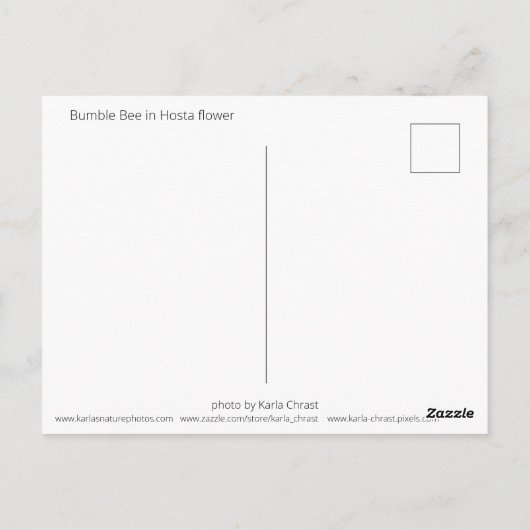 Carte Postale Bumble Bee in Hosta Postcard (Dos)