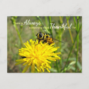 Carte Postale Bumble Bee Jaune Dandelion Toujours Merci