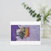 Carte Postale Bumble Bee Sketch Imprimer (Debout devant)