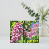 Carte Postale Bumble Bee survolant Lilacs (Debout devant)
