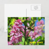 Carte Postale Bumble Bee survolant Lilacs (Devant / Derrière)