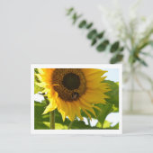 Carte postale Bumblebebe & Sunflower (Debout devant)