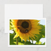 Carte postale Bumblebebe & Sunflower (Devant / Derrière)