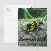 Carte Postale Bumblebebee grenouille à tarte # 2 (Devant / Derrière)