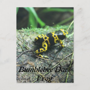 Carte Postale Bumblebebee grenouille à tarte # 2