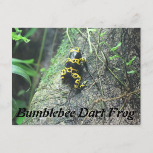 Carte Postale Bumblebebee Grenouille à tarte # 3