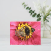 Carte postale Bumblebee (Debout devant)