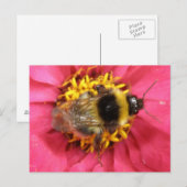 Carte postale Bumblebee (Devant / Derrière)