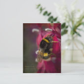 Carte postale Bumblebee (Debout devant)