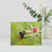 Carte postale Bumblebee (Debout devant)