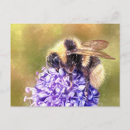 Carte Postale Bumblebee (Devant)