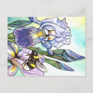 Carte Postale Bumblebee Et Irises