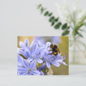 Carte Postale Bumblebee se nourrit de fleur (Debout devant)