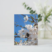 Carte Postale Bumblebee sur la fleur de cerisier sauvage (Debout devant)