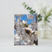 Carte Postale Bumblebee sur la fleur de cerisier sauvage (Debout devant)