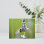 Carte Postale Bumblebee sur Lavender (Debout devant)