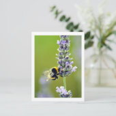 Carte Postale Bumblebee sur Lavender (Debout devant)