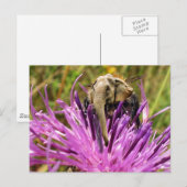 Carte Postale Bumblefant (Devant / Derrière)