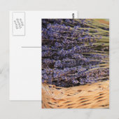 Carte Postale Bunches de Lavendel (Devant / Derrière)