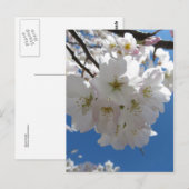 Carte Postale Bundle Blossom (Devant / Derrière)