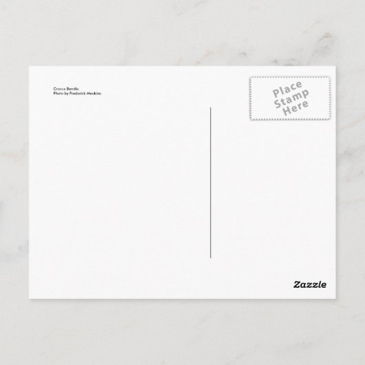 Carte Postale Bundle Crocus (Dos)