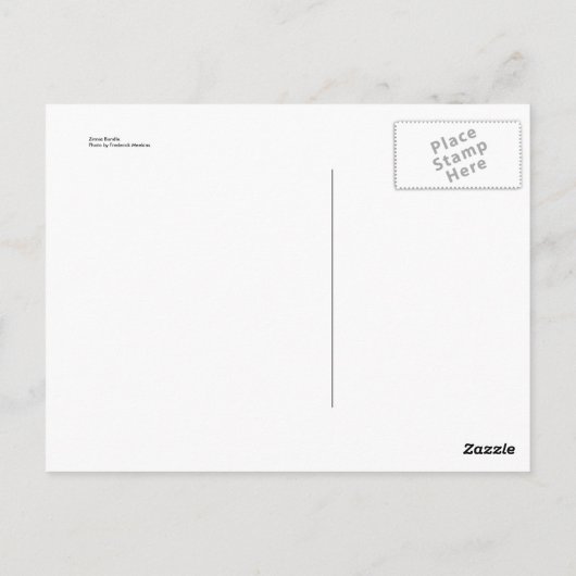 Carte Postale Bundle Zinnia (Dos)