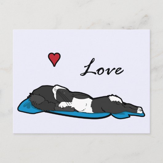 Carte Postale Bunneh dormant (Devant)