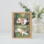 CARTE POSTALE BUNNIE AIME LE CALF (Debout devant)