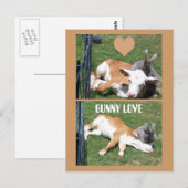 CARTE POSTALE BUNNIE AIME LE CALF (Devant / Derrière)