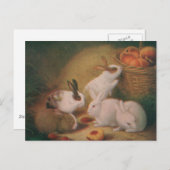 Carte Postale Bunnies (Devant / Derrière)