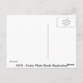 Carte Postale Bunnies (Dos)