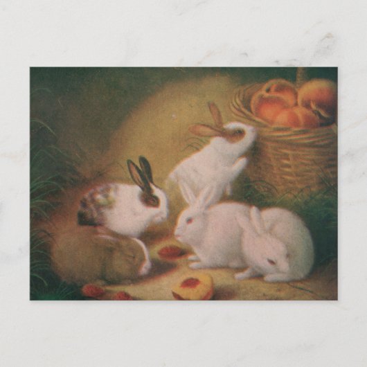 Carte Postale Bunnies (Devant)