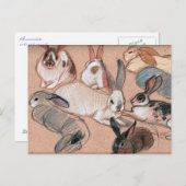 Carte Postale Bunnies (Devant / Derrière)