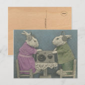 Carte Postale Bunnies audiophile (Devant / Derrière)