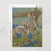 Carte Postale Bunnies & Bluebonnets (Devant / Derrière)