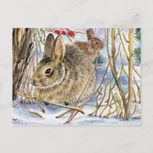 Carte Postale Bunnies d'hiver