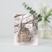 Carte Postale Bunny à la recherche de refuge (Debout devant)