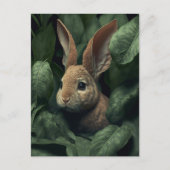 Carte Postale Bunny and plant postcard (Devant)